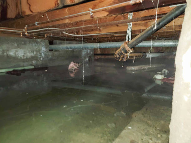 Best 24/7 water damage repair  in Allendale, CA