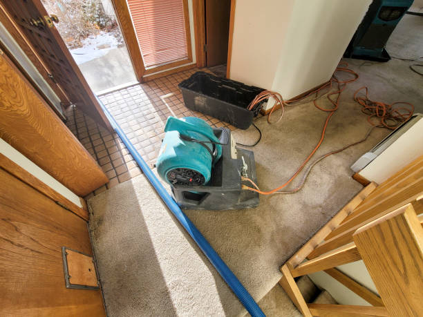 Best Fire Damage Restoration  in Allendale, CA