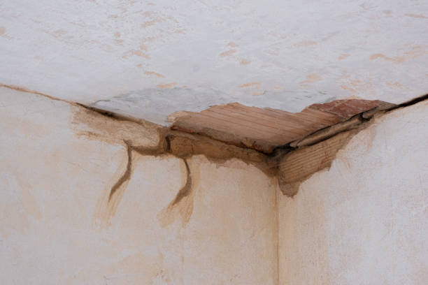 Allendale, CA Water damage restoration Pros