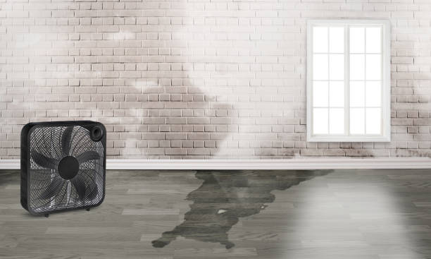Allendale, CA Water damage restoration Company