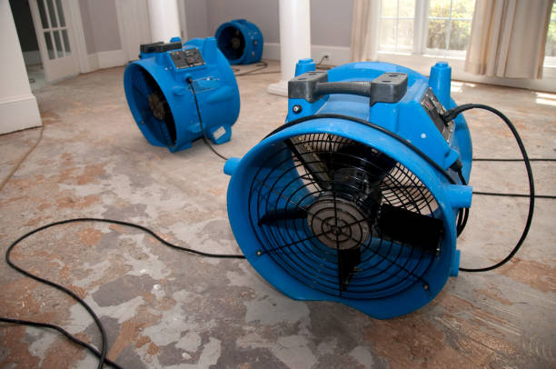 Fire Damage Restoration in Allendale, CA