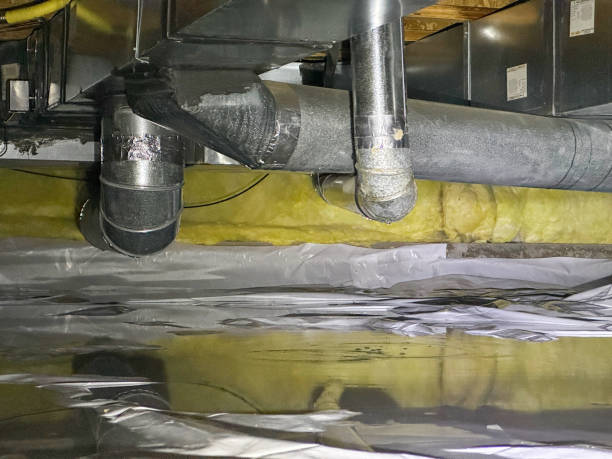 Best Mold removal after water damage  in Allendale, CA