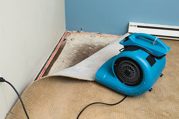 Best Water damage contractors near me  in Allendale, CA